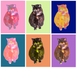 Andy Warhol meets Willow Kitty