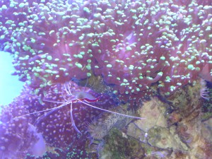 DSCN9916