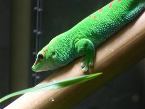DSCN9922
